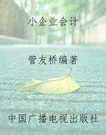 小企业会计