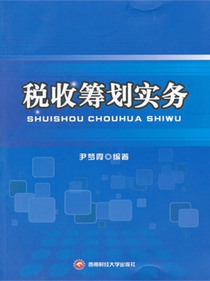 税收筹划实务