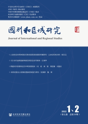国别和区域研究（第七卷