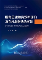 国有企业融资效率评价