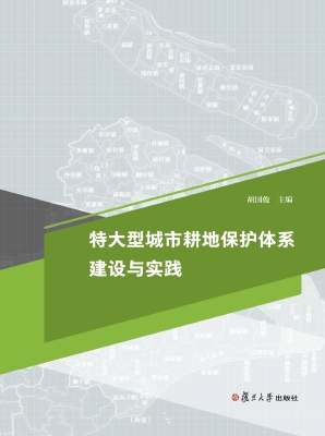 特大型城市耕地保护体
