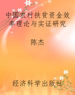 中国农村扶贫资金效率