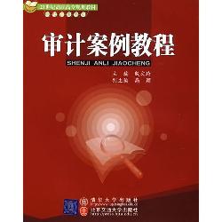 审计案例教程