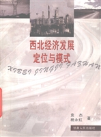 西北经济发展定位与模