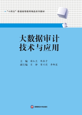 大数据审计技术与应用