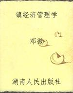 镇经济管理学