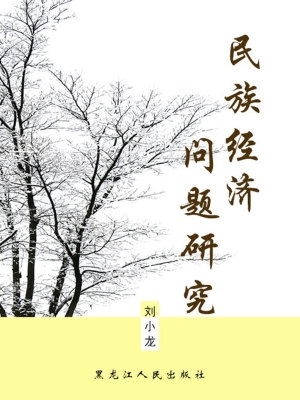 民族经济问题研究