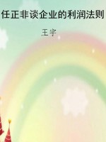 任正非谈企业的利润法