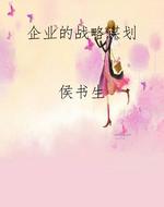 企业的战略谋划