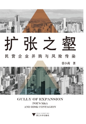 扩张之壑——民营企业