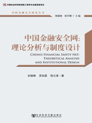 中国金融安全网：理论分