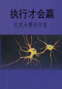 执行才会赢