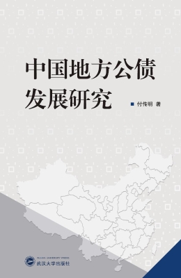 中国地方公债发展研究