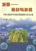 发展——挑战与抉择：中