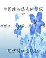 中国经济热点问题探索
