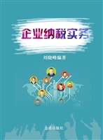 企业纳税实务