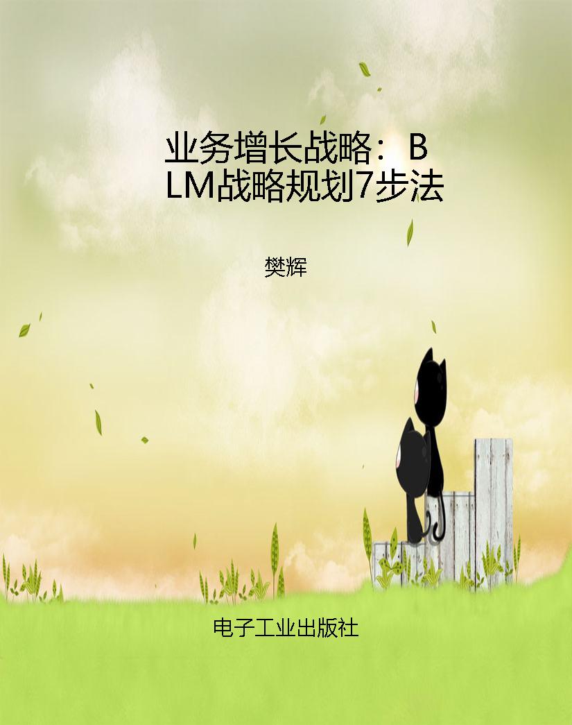 业务增长战略：BLM战略