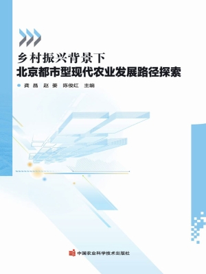 乡村振兴背景下北京都