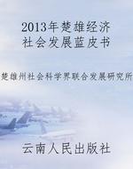 2013年楚雄经济社会发