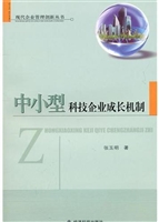 中小型科技企业成长机