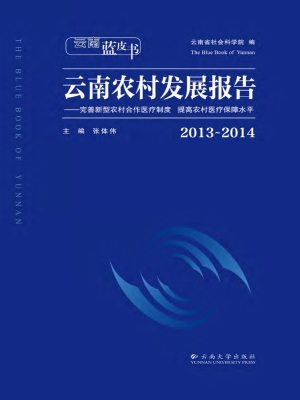云南农村发展报告（2013