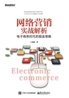 网络营销实战解析——
