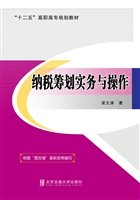 纳税筹划实务与操作