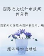 国际收支统计申报案例