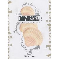 广告策划