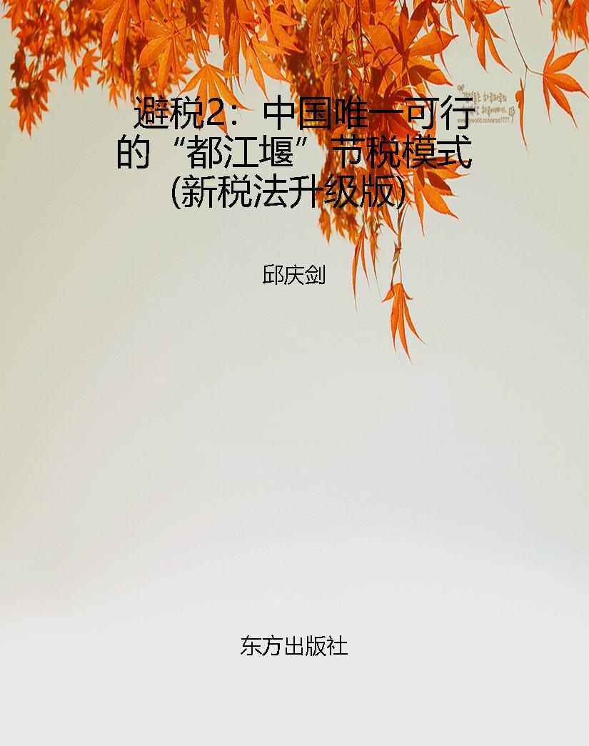 避税2：中国唯一可行的