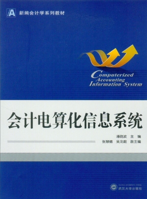 会计电算化信息系统