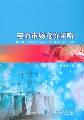 电力市场竞价策略