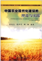 中国农业现代化建设的