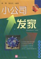 小公司发家