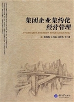 集团企业集约化经营管