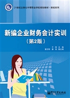 新编企业财务会计实训