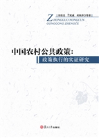 中国农村公共政策