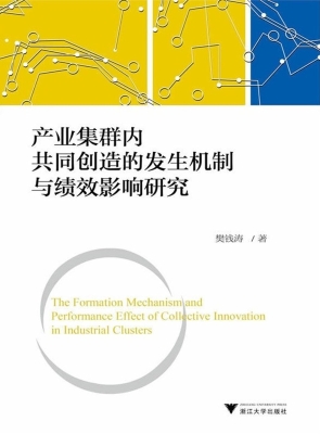 产业集群内共同创造的