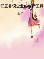 任正非谈企业的创新工