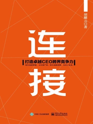 连接——打造卓越CEO