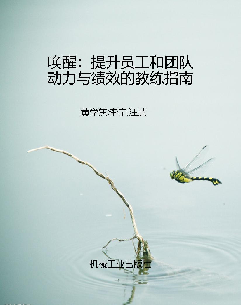 唤醒：提升员工和团队动