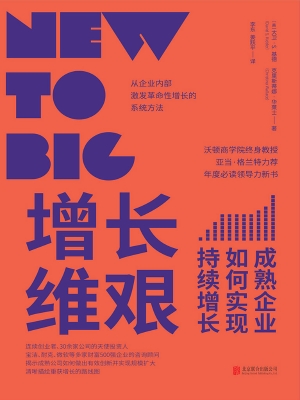 增长维艰——成熟企业