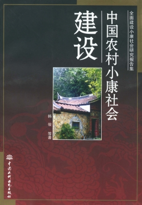 中国农村小康社会建设