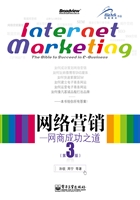 网络营销——网商成功