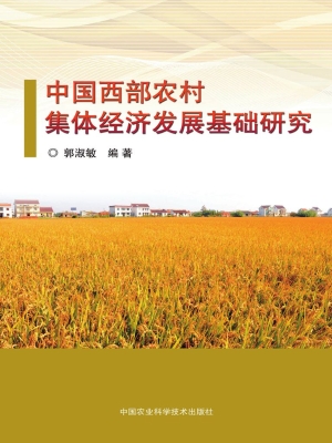 中国西部农村集体经济