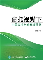 信托视野下中国农村土