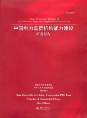 中国电力监管机构能力