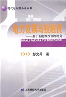 电力发展与投融资