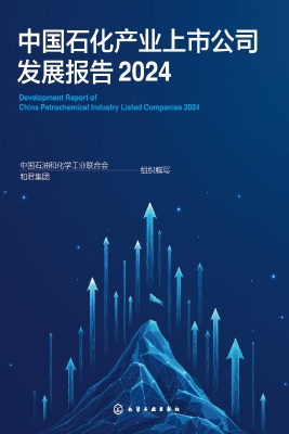 中国石化产业上市公司
