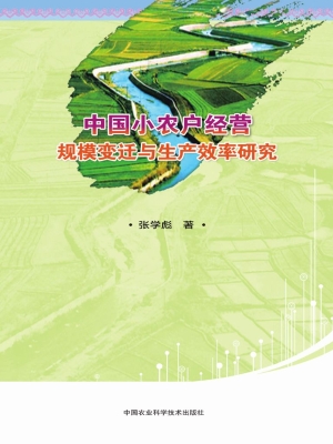 中国小农户经营规模变